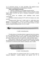 Referāts 'Muitas fiziskā kontrole lidostā "Rīga"', 14.