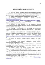 Referāts 'Muitas fiziskā kontrole lidostā "Rīga"', 34.