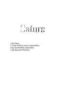 Referāts 'Telefona sarunu organizēšana/apmeklētāju pieņemšana', 4.