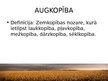 Prezentācija 'Augkopība', 2.