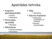 Prezentācija 'Augkopība', 7.