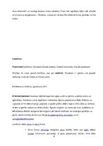 Referāts 'Medicīniskā parazitoloģija', 8.