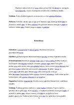 Referāts 'Medicīniskā parazitoloģija', 14.