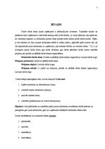 Referāts 'Pirmās un pēdējās darba dienas organizācija Latvijas darba tirgū', 3.