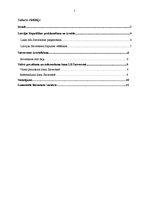 Referāts 'Latvijas Republikas Satversmes tapšana', 2.