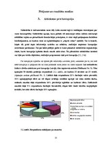 Referāts 'Korupcija - sociālekonomiska problēma', 20.