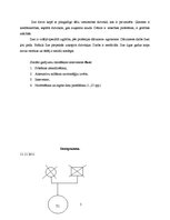 Prakses atskaite 'Prakses darbs sociālā gadījuma risināšanā', 5.