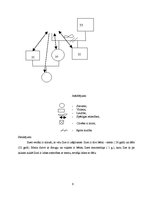Prakses atskaite 'Prakses darbs sociālā gadījuma risināšanā', 6.