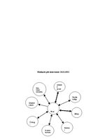 Prakses atskaite 'Prakses darbs sociālā gadījuma risināšanā', 19.