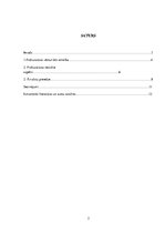 Referāts 'Prokuratūra', 2.