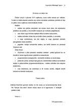 Referāts 'A/S "Dati" produkta "MiniPrece" tirgus izpēte', 12.