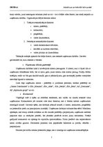 Prakses atskaite 'Vairumtirdzniecibas uzņēmuma prakses atskaite', 5.