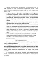 Prakses atskaite 'Vairumtirdzniecibas uzņēmuma prakses atskaite', 9.