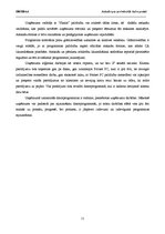 Prakses atskaite 'Vairumtirdzniecibas uzņēmuma prakses atskaite', 11.