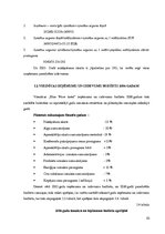 Biznesa plāns 'Viesnīcas finanšu rādītāju analīze', 10.