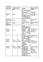 Biznesa plāns 'Viesnīcas finanšu rādītāju analīze', 11.