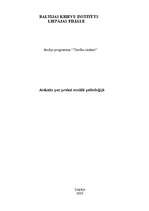 Prakses atskaite 'Sociālā psiholoģija', 1.