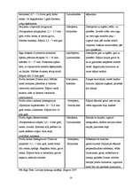 Referāts 'Meža attīstība no senatnes līdz mūsdienām', 14.