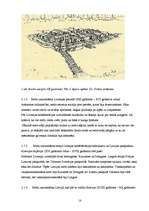 Referāts 'Meža attīstība no senatnes līdz mūsdienām', 18.