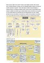 Referāts 'Meža attīstība no senatnes līdz mūsdienām', 21.