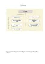 Referāts 'Meža attīstība no senatnes līdz mūsdienām', 40.