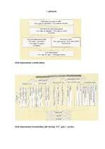 Referāts 'Meža attīstība no senatnes līdz mūsdienām', 44.