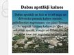 Prezentācija 'Kalnu apgabali', 14.