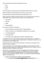 Konspekts 'Audits', 28.