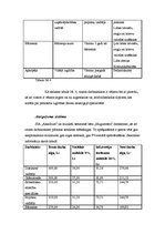 Biznesa plāns 'Muzikāli literārais bārs "Mugursoma"', 15.
