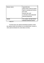 Biznesa plāns 'Muzikāli literārais bārs "Mugursoma"', 18.