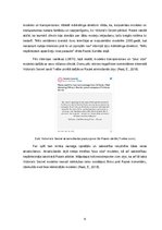 Referāts 'Zīmola “Victoria's Secret” krīzes situācijas analīze', 8.