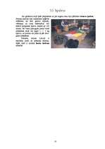 Referāts 'Netradicionālā lauksaimniecība - strauskopība', 10.