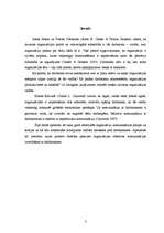 Referāts 'Komunikācijas organizācijā', 3.