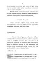 Referāts 'Pašvaldību darbību pārraudzība', 21.