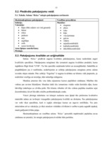 Biznesa plāns 'SIA veselības un relaksācijas centrs "Relax"', 13.