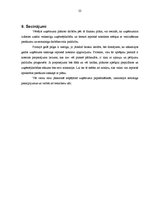 Biznesa plāns 'SIA veselības un relaksācijas centrs "Relax"', 23.