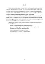 Referāts 'Mūzikas terapija Latvijā', 3.