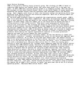 Eseja 'The Strategy of Louis Vuitton', 1.