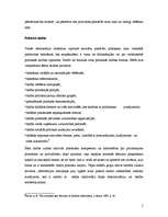 Referāts 'Vai demokrātija ir vairākuma vara?', 5.