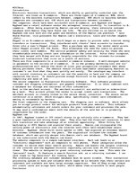 Eseja 'E-commerce Website', 1.