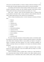 Diplomdarbs 'Uzņēmuma iekšējā komunikācija', 17.