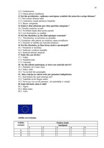 Diplomdarbs 'Uzņēmuma iekšējā komunikācija', 43.