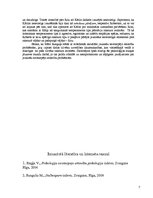 Referāts 'Bērnu un jauniešu problēmu risinājums Māra Runguļa stāstā "Stulbcepure"', 7.