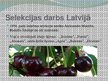 Prezentācija 'Selekcija', 10.