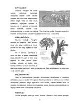 Referāts 'Pireneju pussala - Spānija, Portugāle, attiecības ar Latviju', 12.