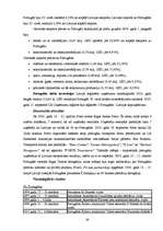 Referāts 'Pireneju pussala - Spānija, Portugāle, attiecības ar Latviju', 26.