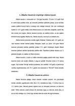 Referāts 'Jēkaba baznīca', 3.