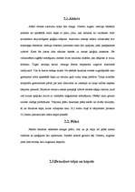 Referāts 'Jēkaba baznīca', 4.