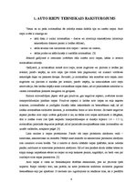 Referāts 'Auto riepas un satiksmes drošība', 6.