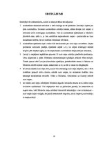 Referāts 'Auto riepas un satiksmes drošība', 19.